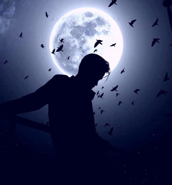 Alone DP