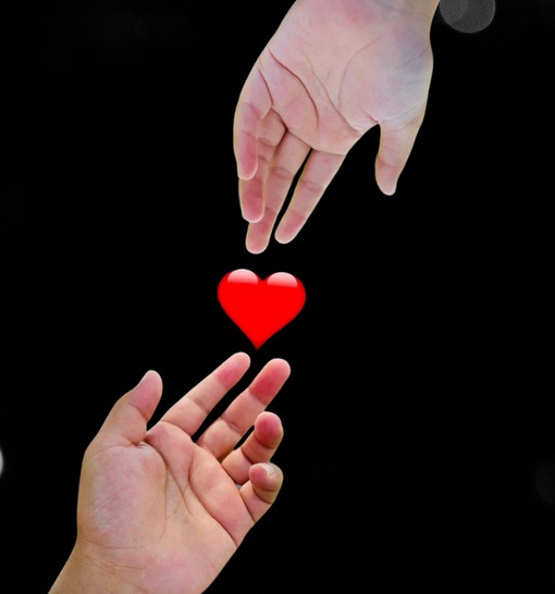Love DP