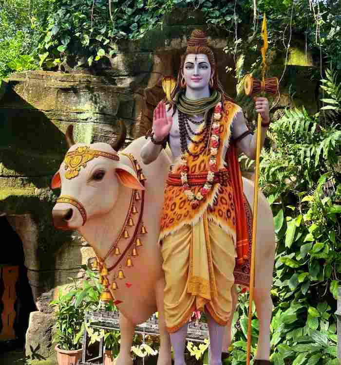 Mahadev DP