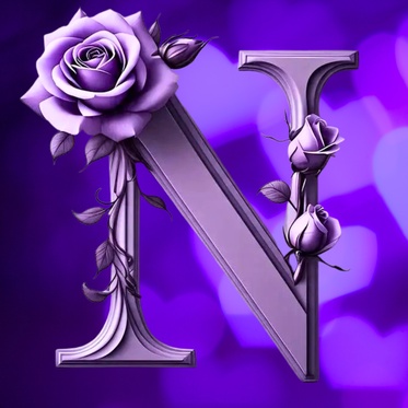 N Name Dp