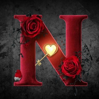 N Name Dp