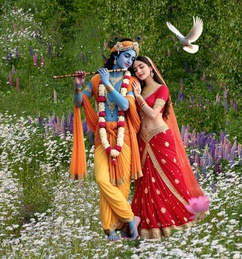 Radha Krishna Dp