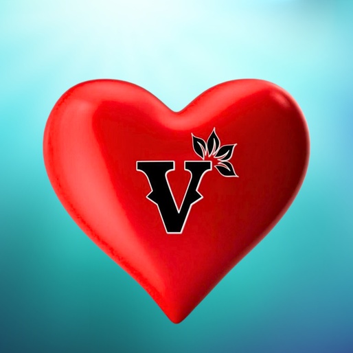 V Name Dp