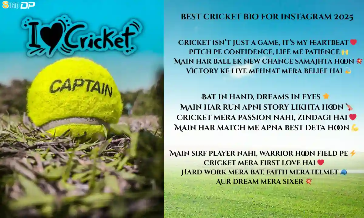 best cricket bio for instagram 2025