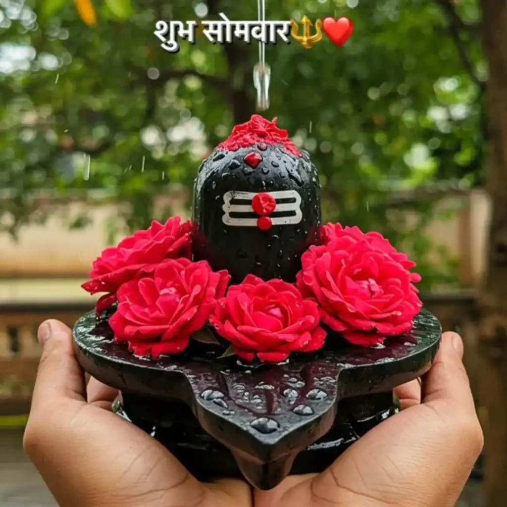 instagram lord shiva whatsapp dp