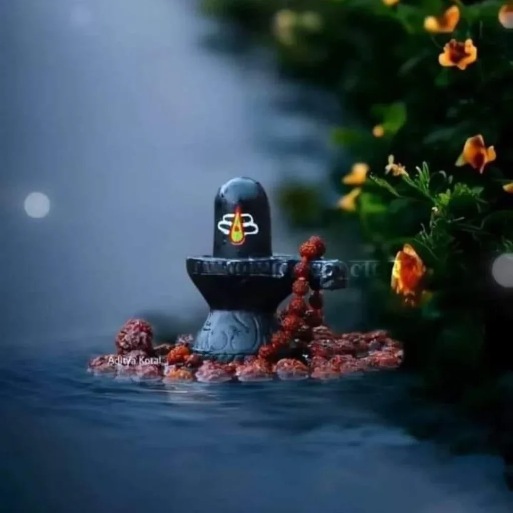 beautiful instagram lord shiva whatsapp dp