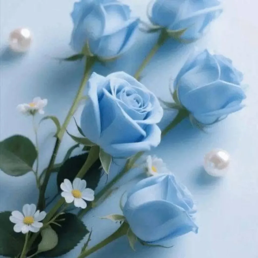 Flowers DP