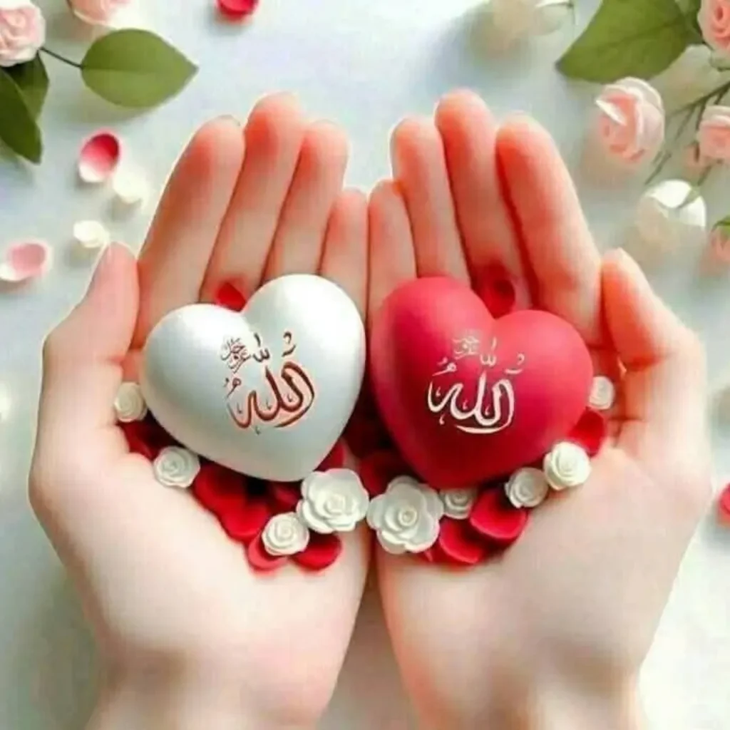 Heart Alhamdulillah DP