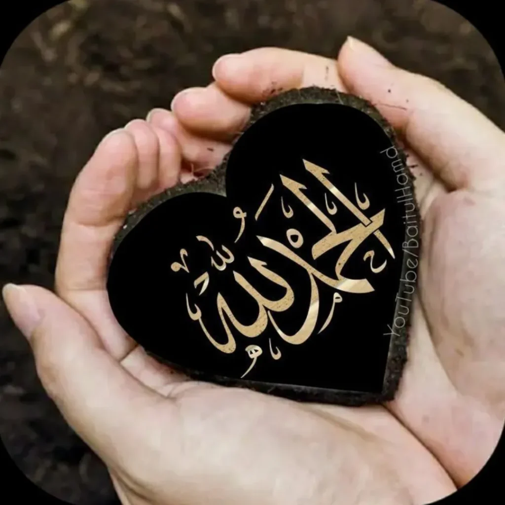 Heart Alhamdulillah DP