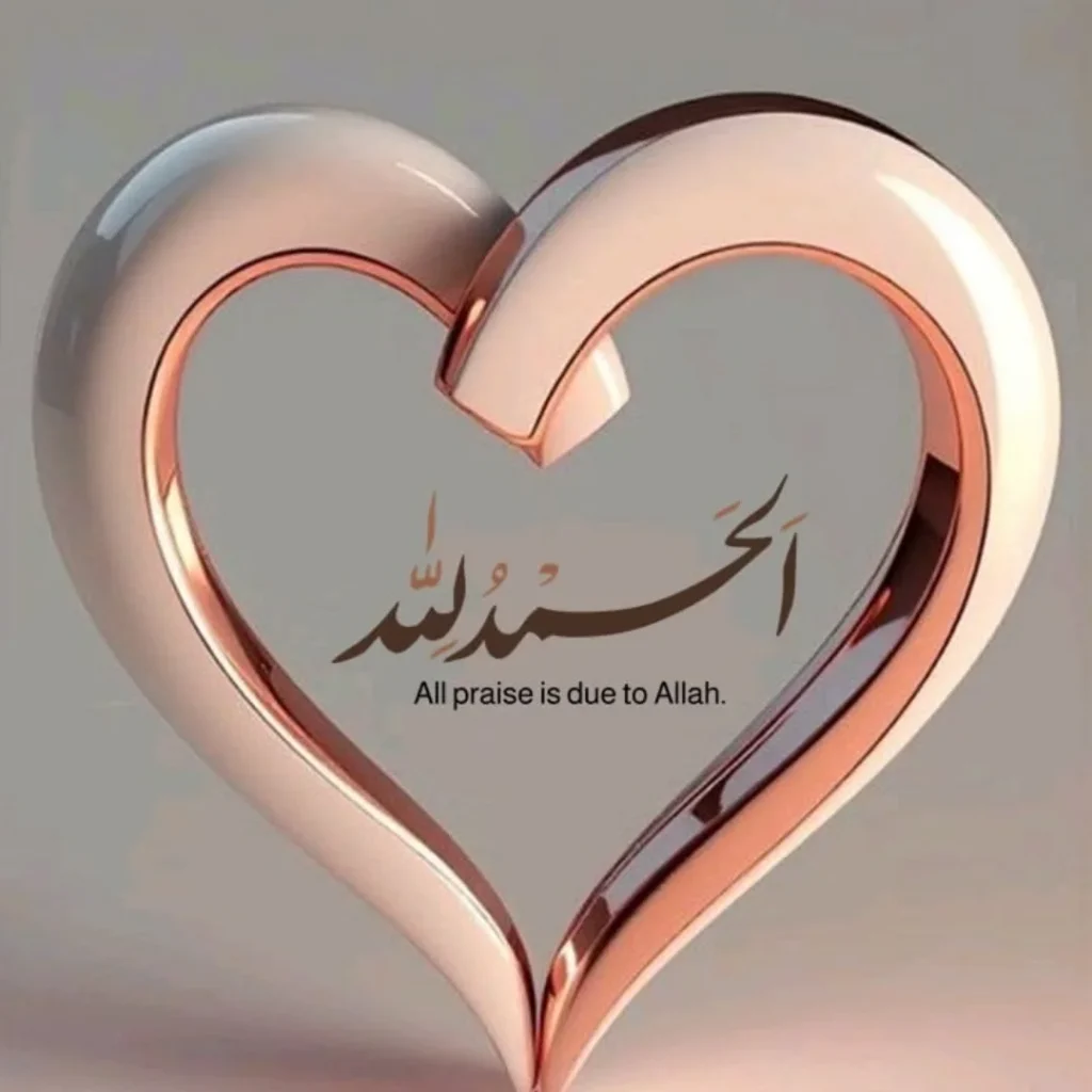 Heart Alhamdulillah DP