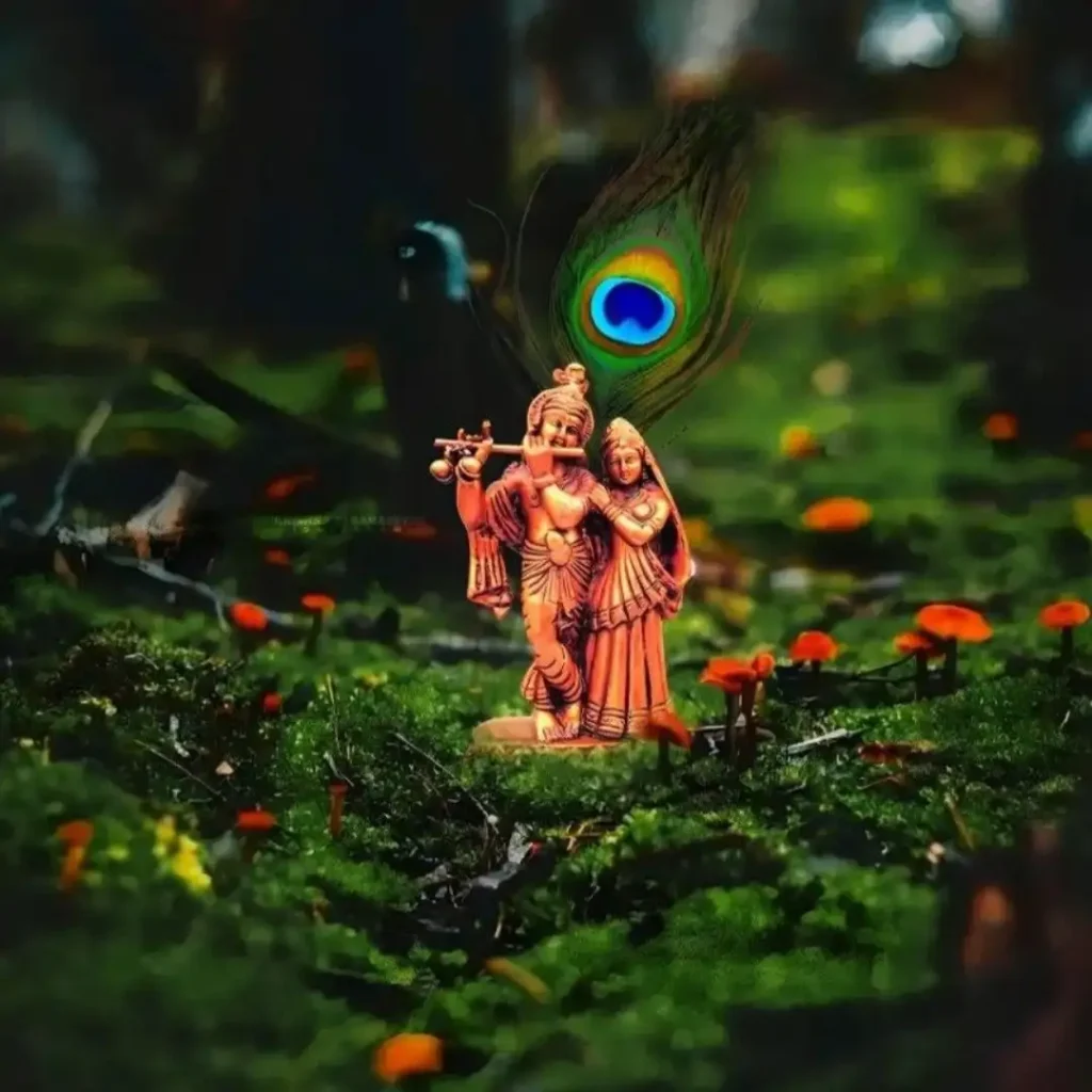 Radha Krishna DP HD Images