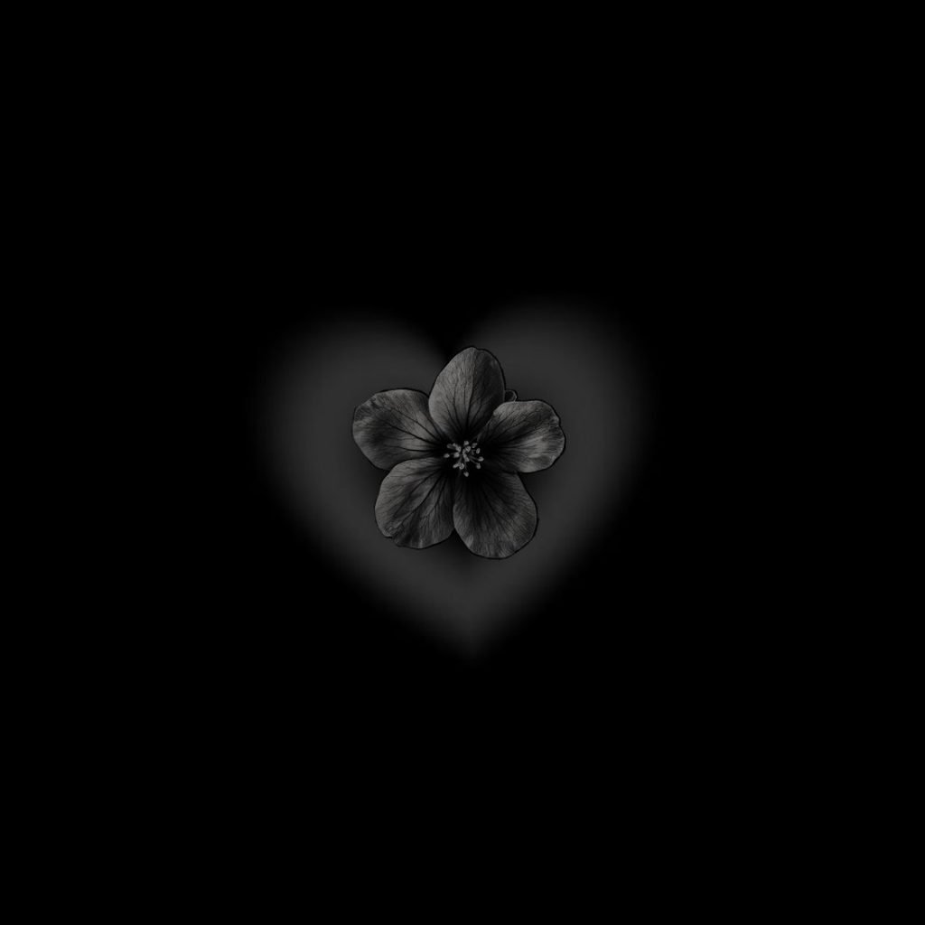 Mysterious Black DP