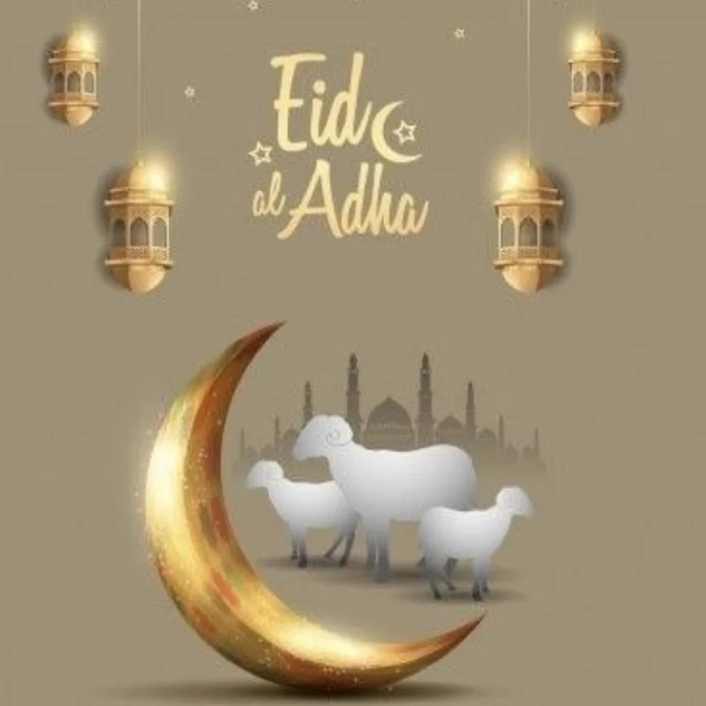 Bakra Eid Mubarak Dp