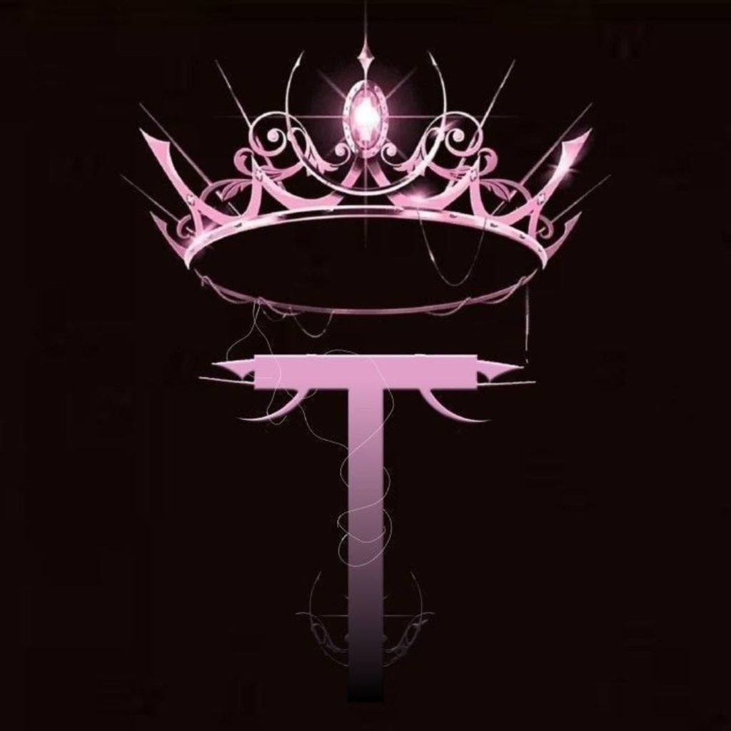 Aesthetic T Name DP