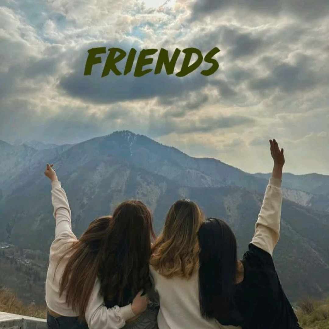 Friends Group DP
