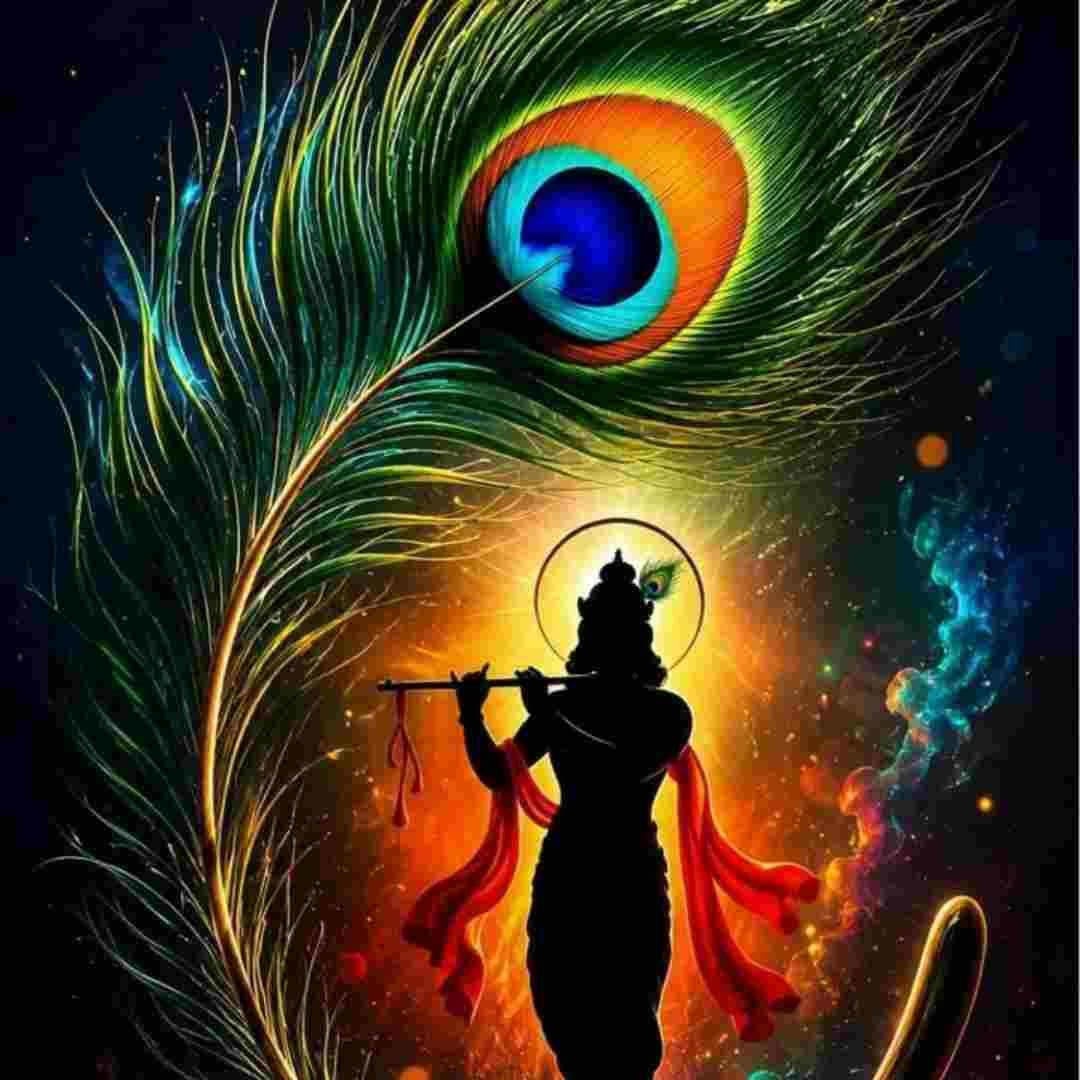 Krishna Mor Pankh DP