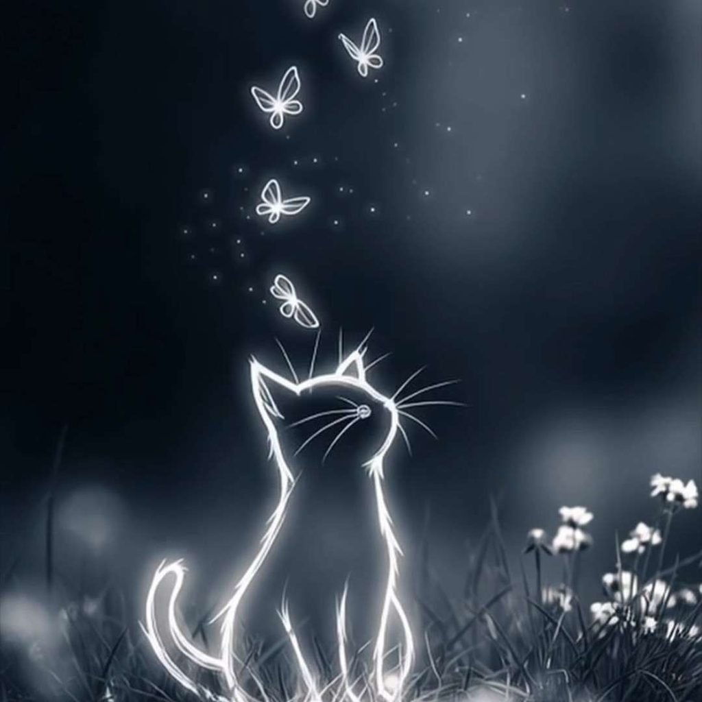 simple cute Standard WhatsApp DP