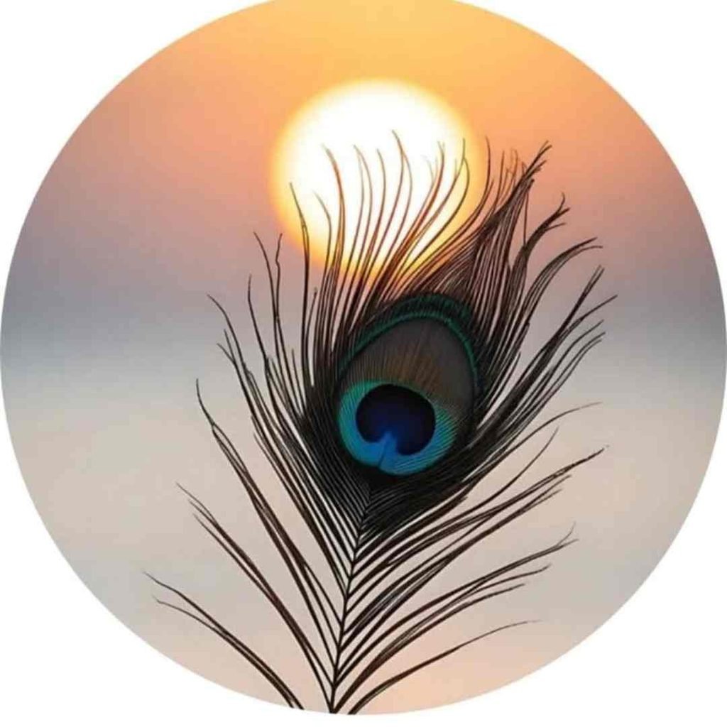 Unique DP for WhatsApp